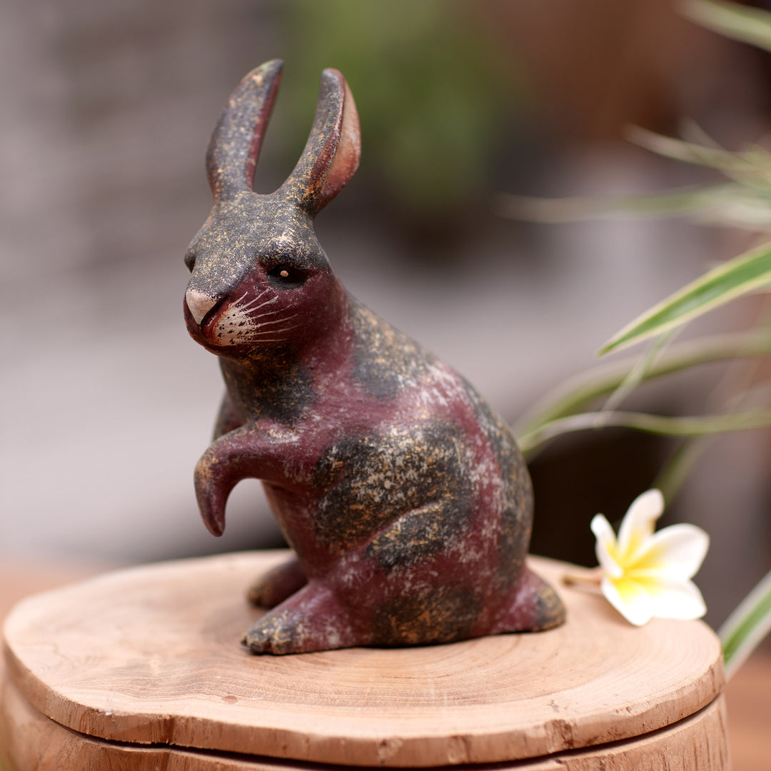Curious Bunny