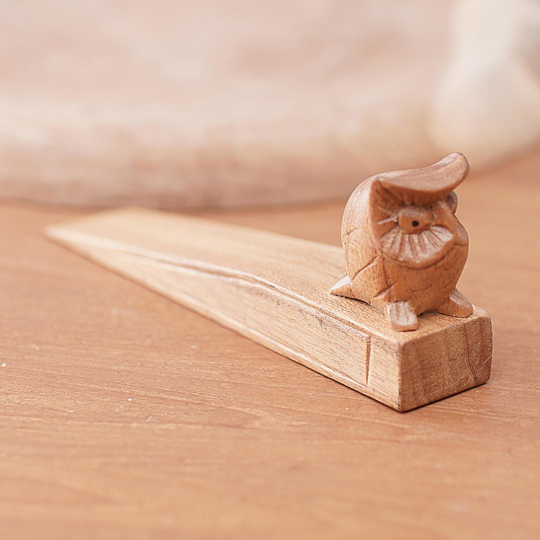 Mysterious Brown Owl