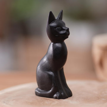 Cunning Black Cat