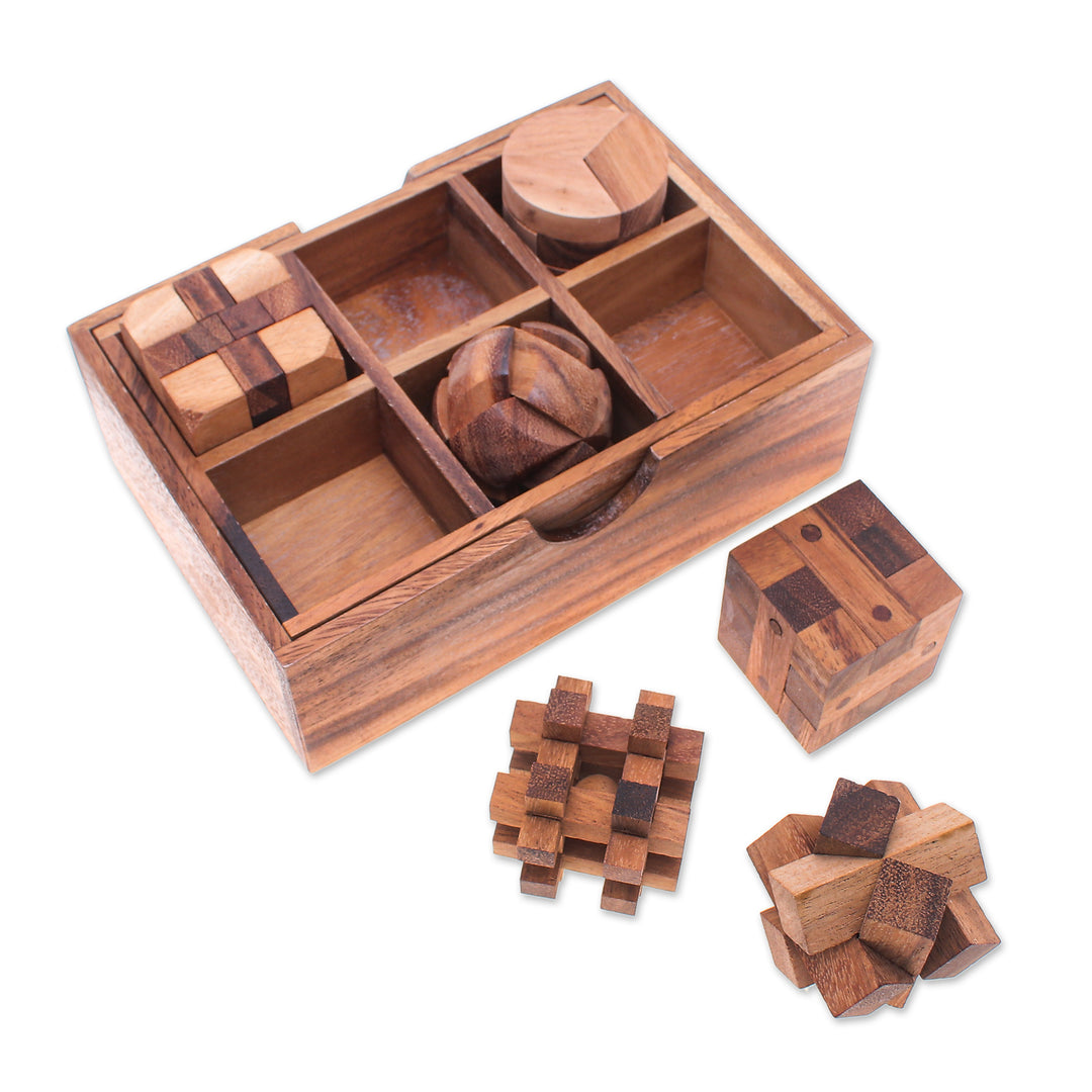 Raintree Wood Puzzle Set from Thailand (6 Piece) - Beautiful Challenge