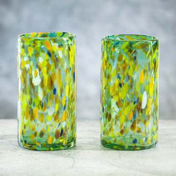 Multicolor Green Party