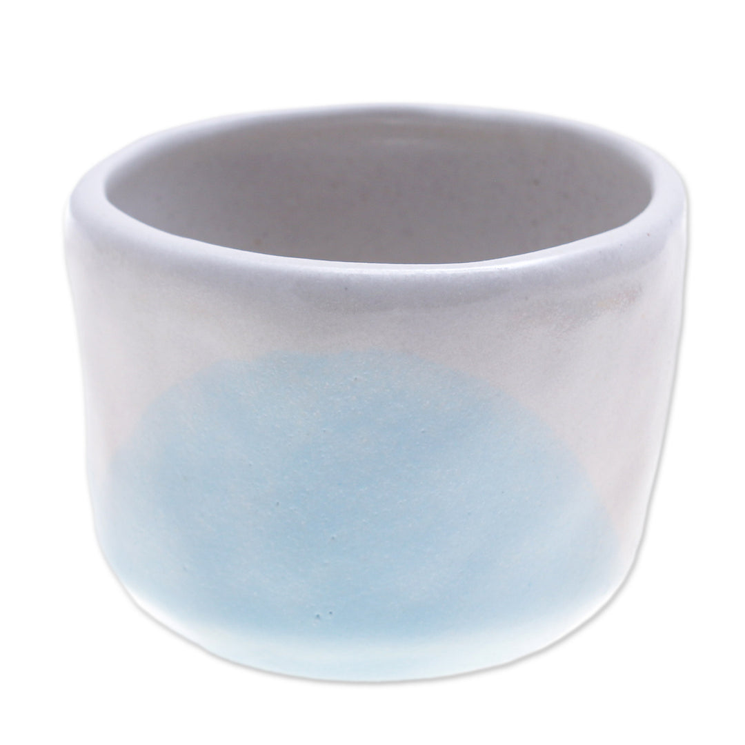 Handcrafted Ceramic Flower Pot with White and Blue Tones - Dazzling Bud