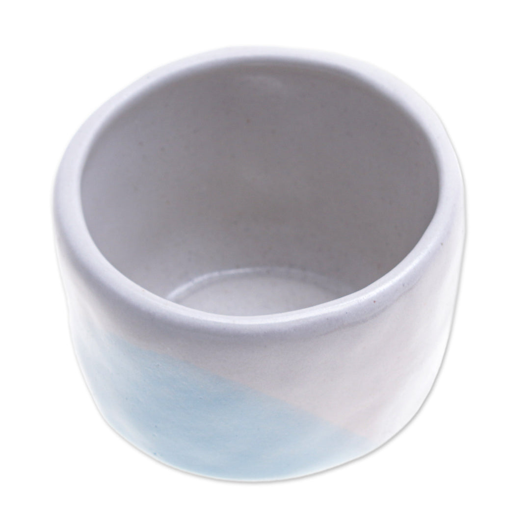 Handcrafted Ceramic Flower Pot with White and Blue Tones - Dazzling Bud