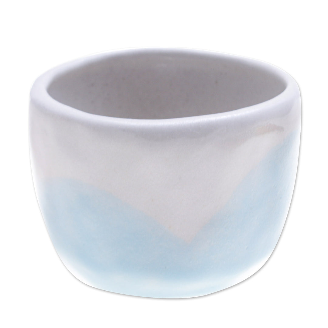 Handcrafted Ceramic Flower Pot with White and Blue Tones - Dazzling Bud