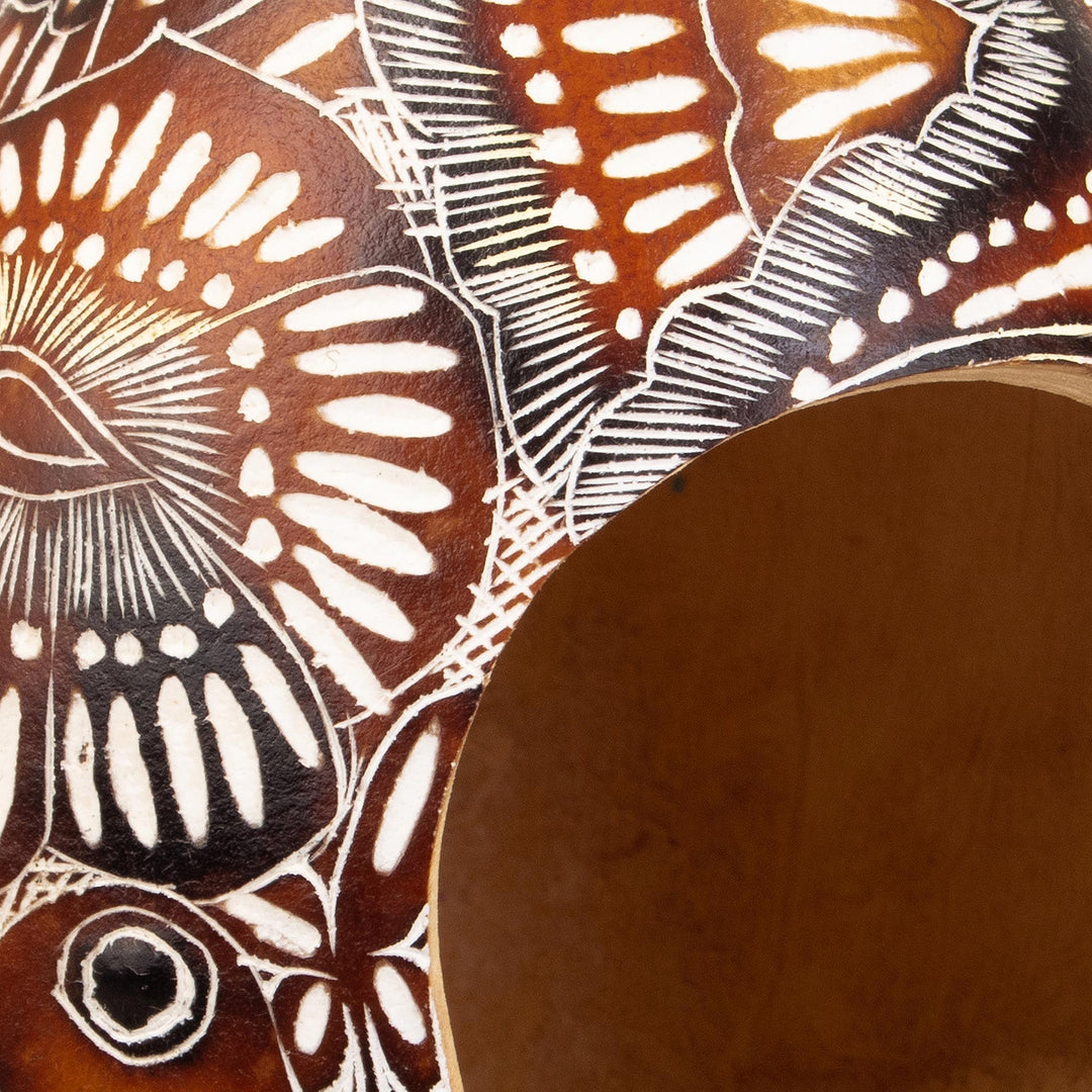 Handmade Dried Gourd Birdhouse with Andean and Bird Details - Garden Chant