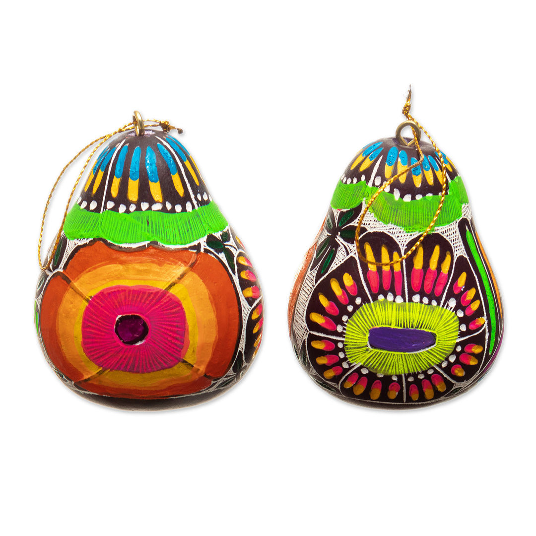 Dried Gourd Ornaments with Bird and Floral Motifs (Pair) - Andean Wings