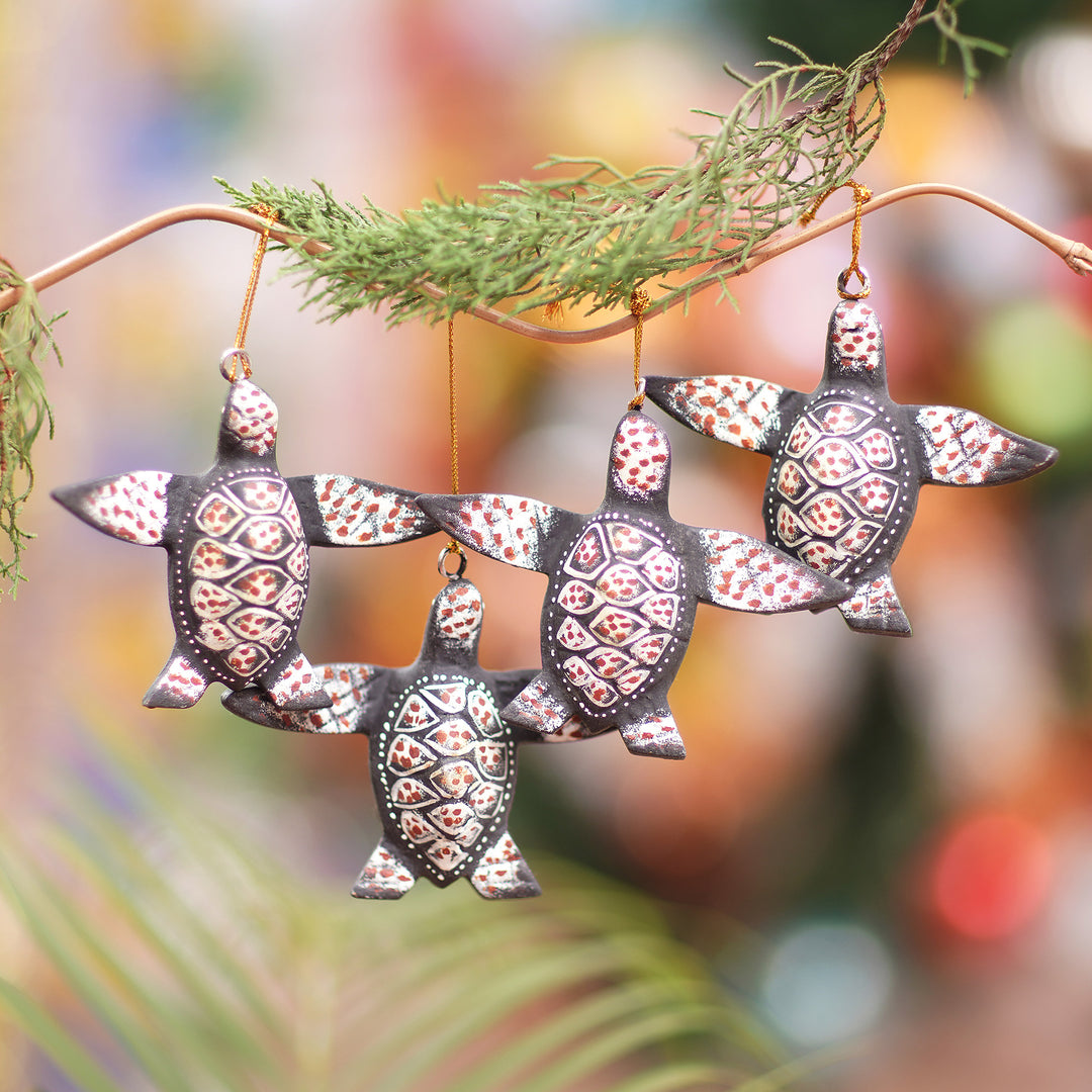 Serene Shells