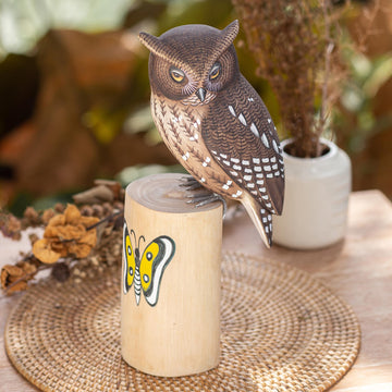 Owl and Butterfly
