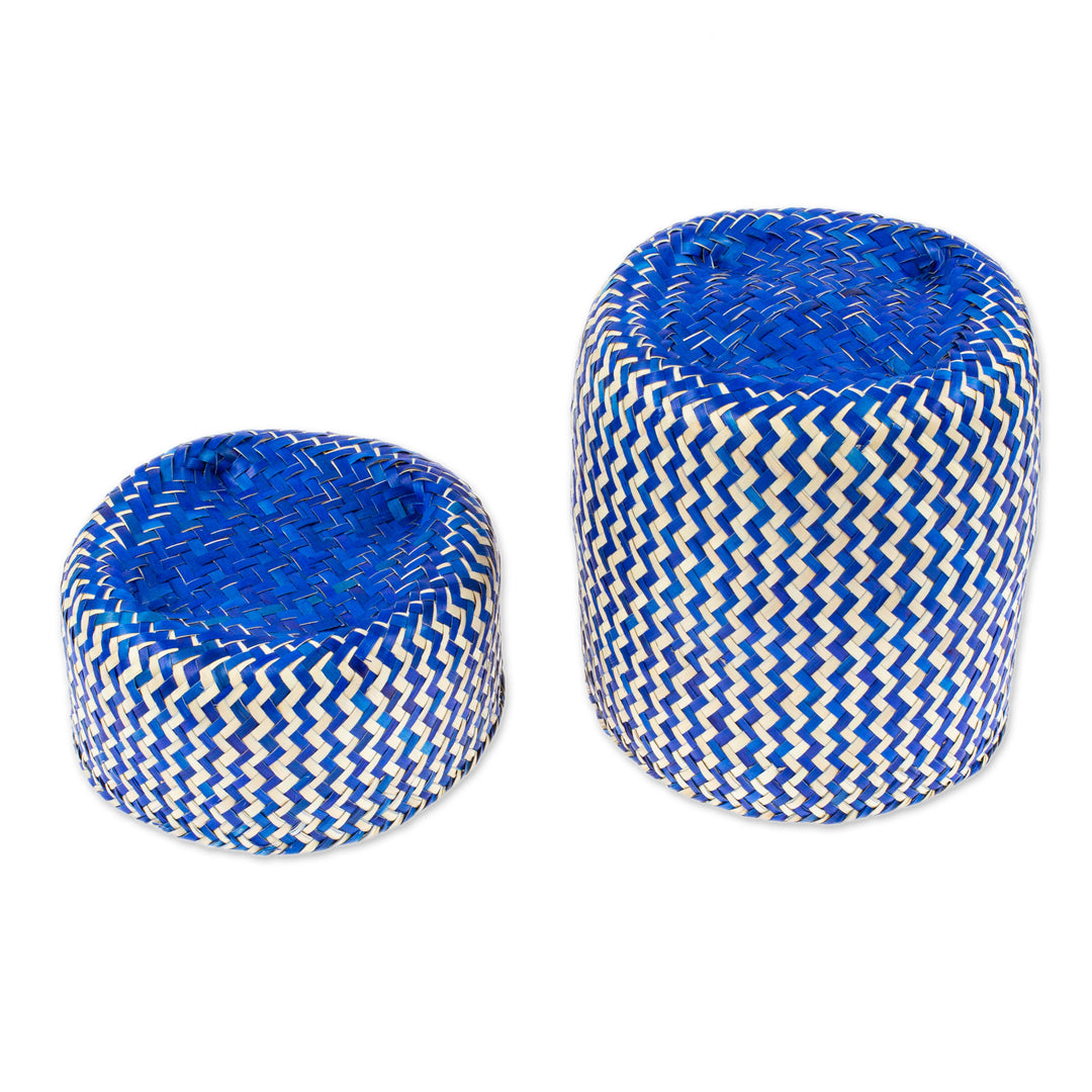 Blue Hand-Woven Palm Fiber Basket with Lid from Mexico - Tiger in Blue