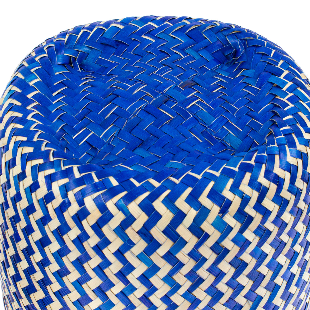 Blue Hand-Woven Palm Fiber Basket with Lid from Mexico - Tiger in Blue