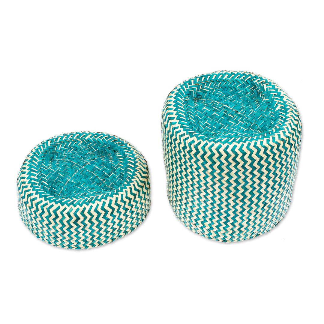 Green Basket with Lid Hand-Woven from Palm Fiber in Mexico - Tiger in Green