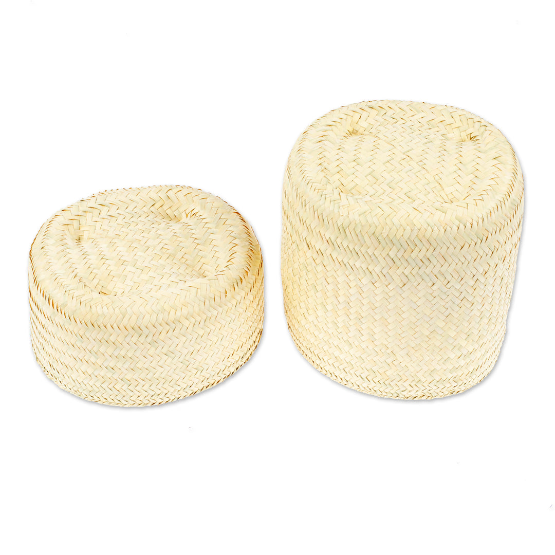 Decorative Palm Fiber Basket with Lid Hand-Woven in Mexico - Raw and Chic
