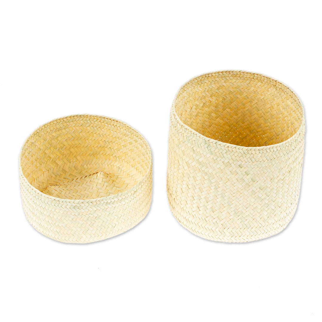 Decorative Palm Fiber Basket with Lid Hand-Woven in Mexico - Raw and Chic