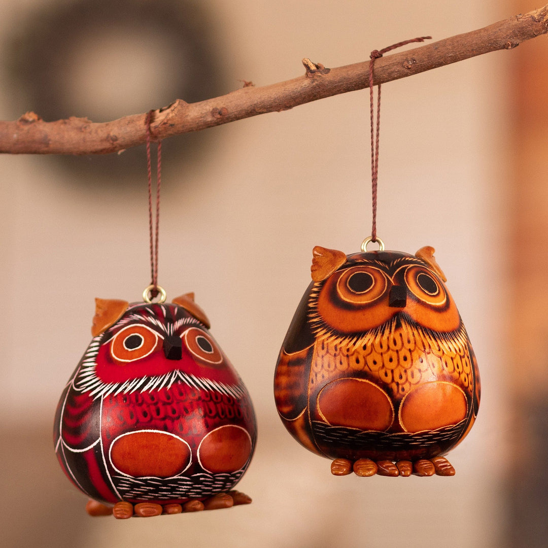 Set of 2 Handmade Dried Gourd Owl Ornaments in Black and Red - Feathers of Wisdom