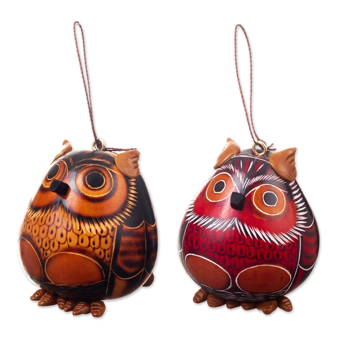 Set of 2 Handmade Dried Gourd Owl Ornaments in Black and Red - Feathers of Wisdom