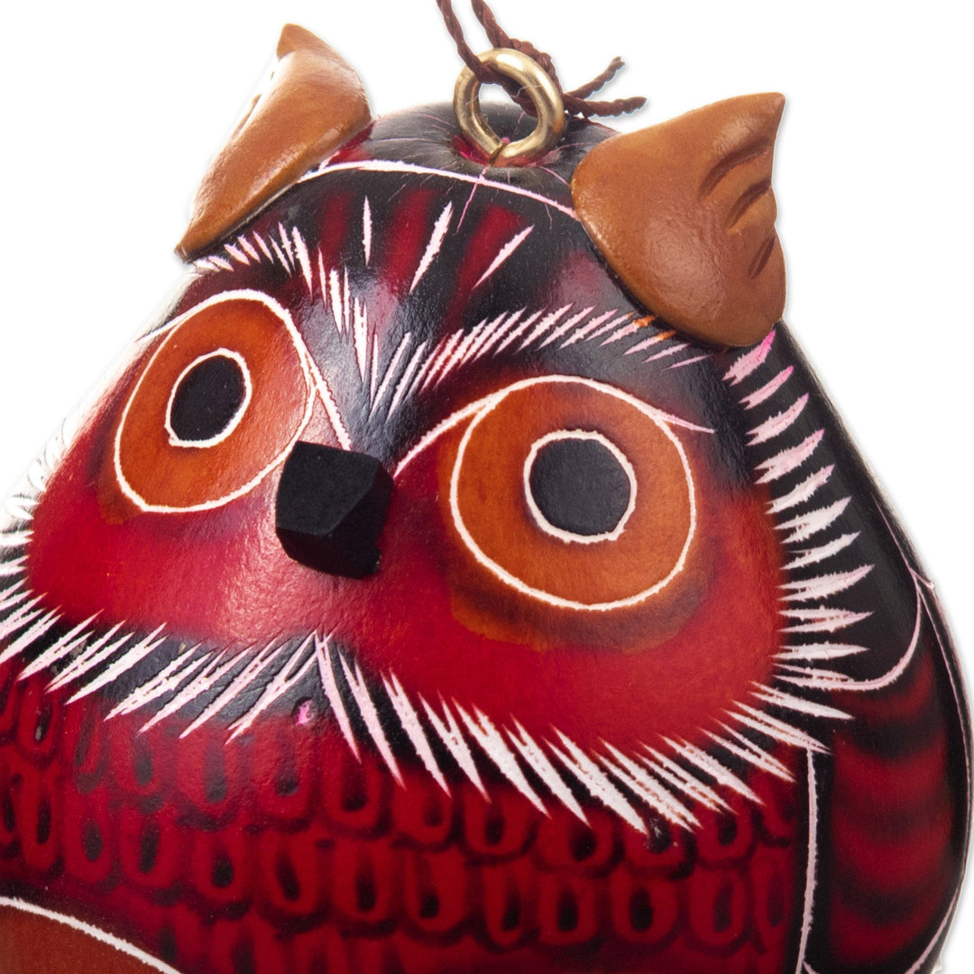 Set of 2 Handmade Dried Gourd Owl Ornaments in Black and Red - Feathers of Wisdom