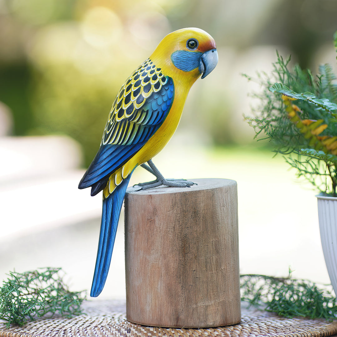 Yellow Rosella