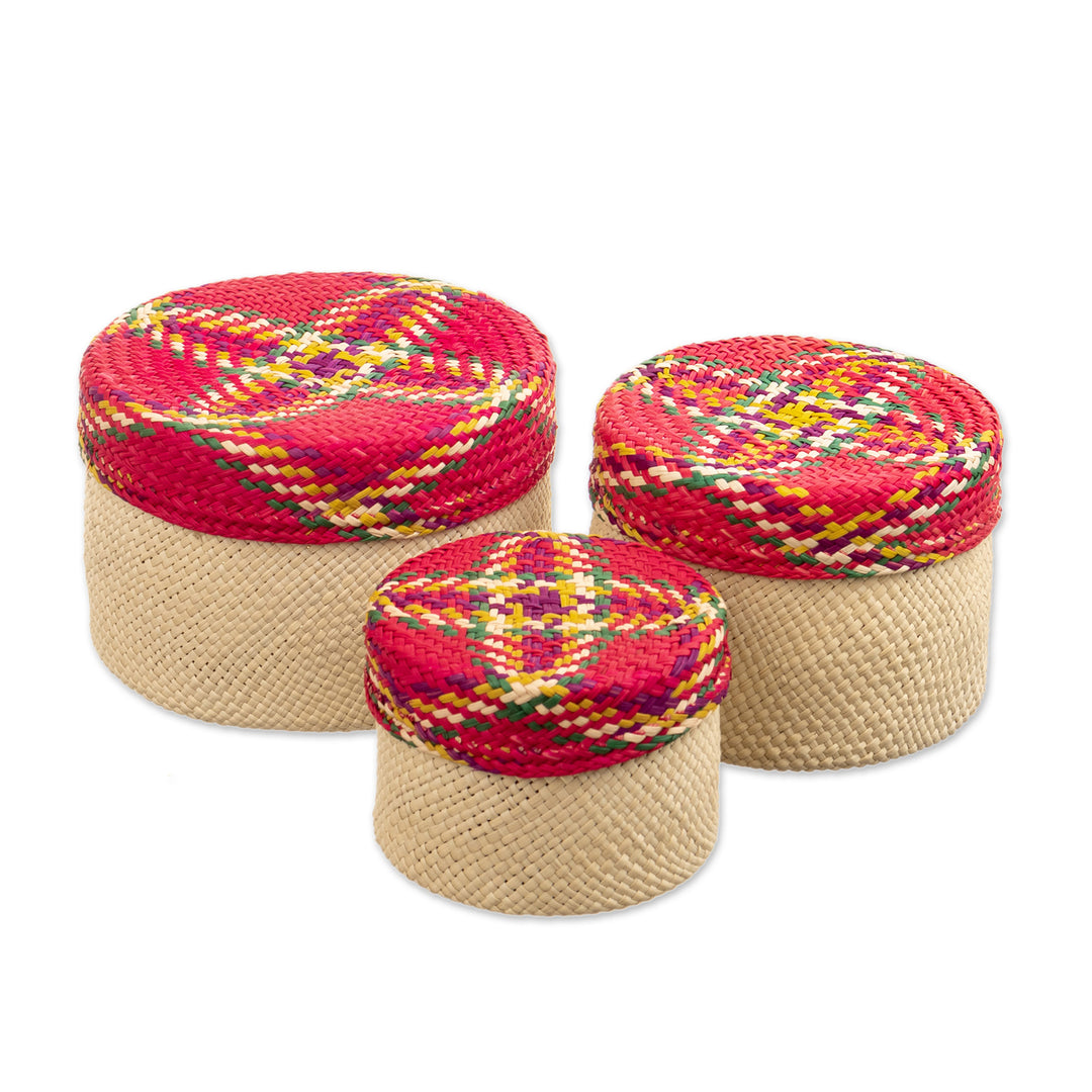 Handwoven Natural Fiber Colorful Baskets From Colombia - Nests of Nariño