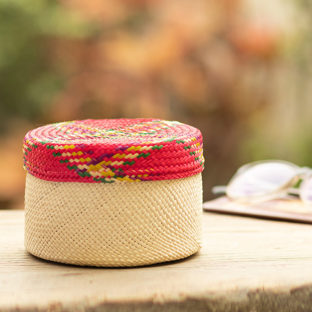 Handwoven Natural Fiber Colorful Baskets From Colombia - Nests of Nariño
