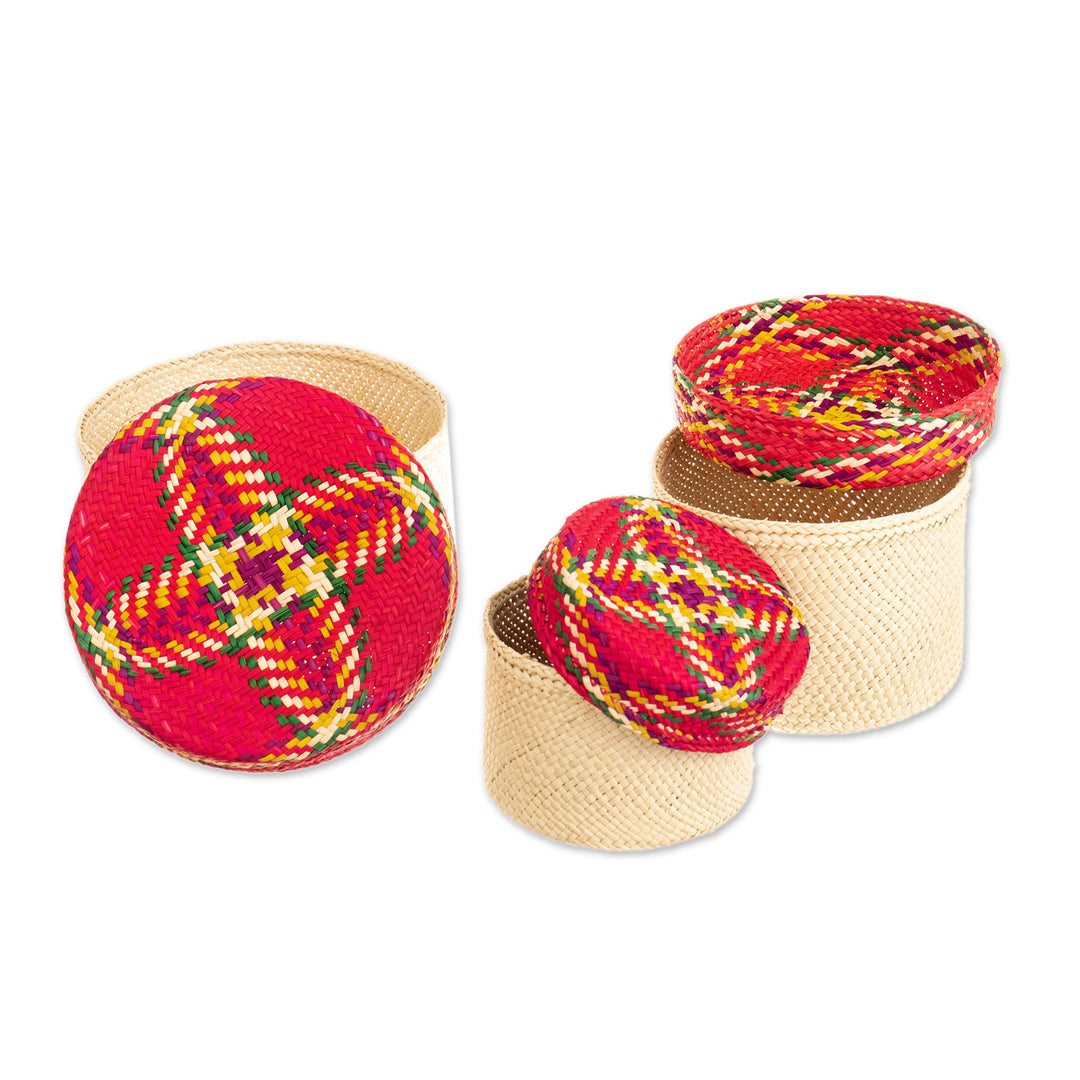 Handwoven Natural Fiber Colorful Baskets From Colombia - Nests of Nariño