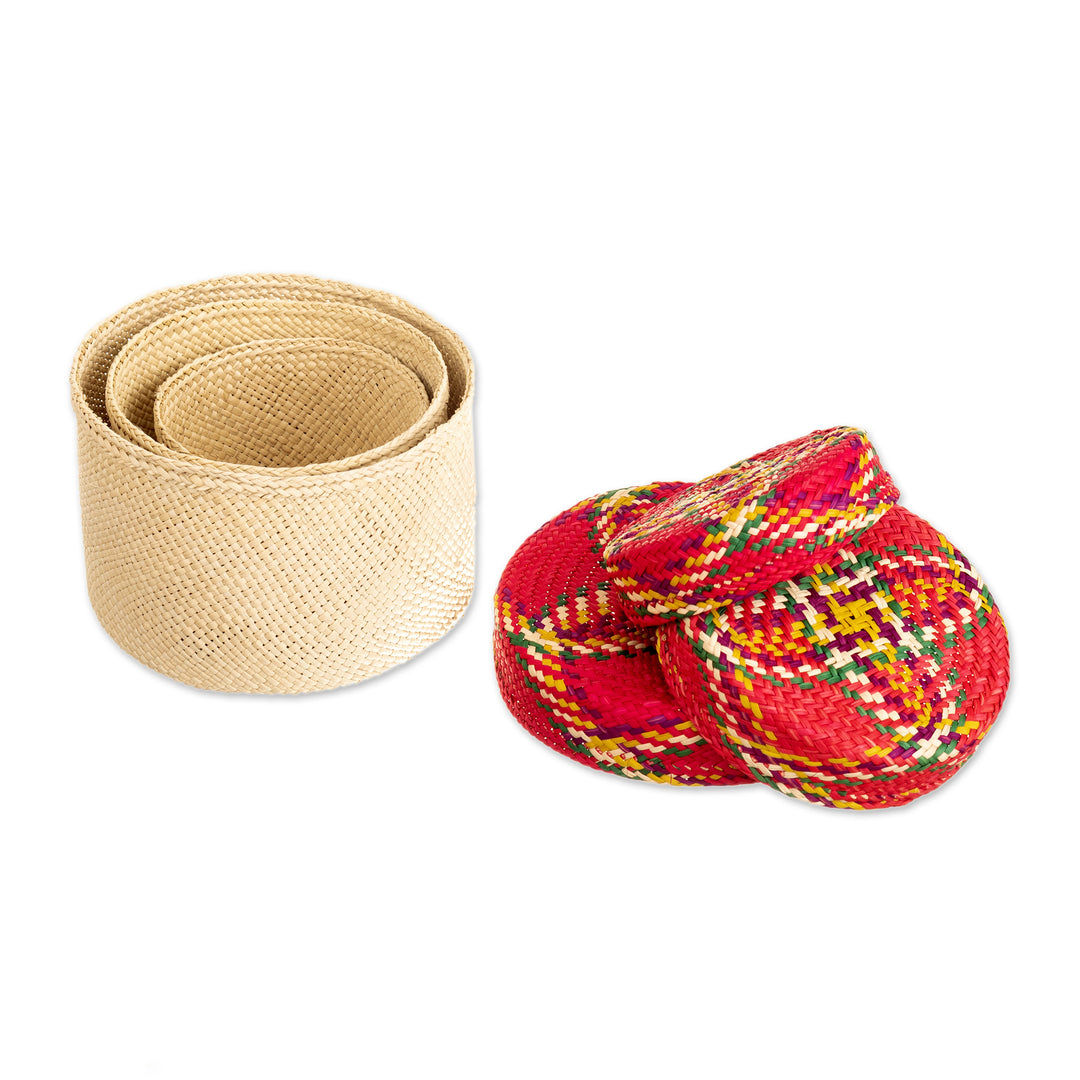 Handwoven Natural Fiber Colorful Baskets From Colombia - Nests of Nariño