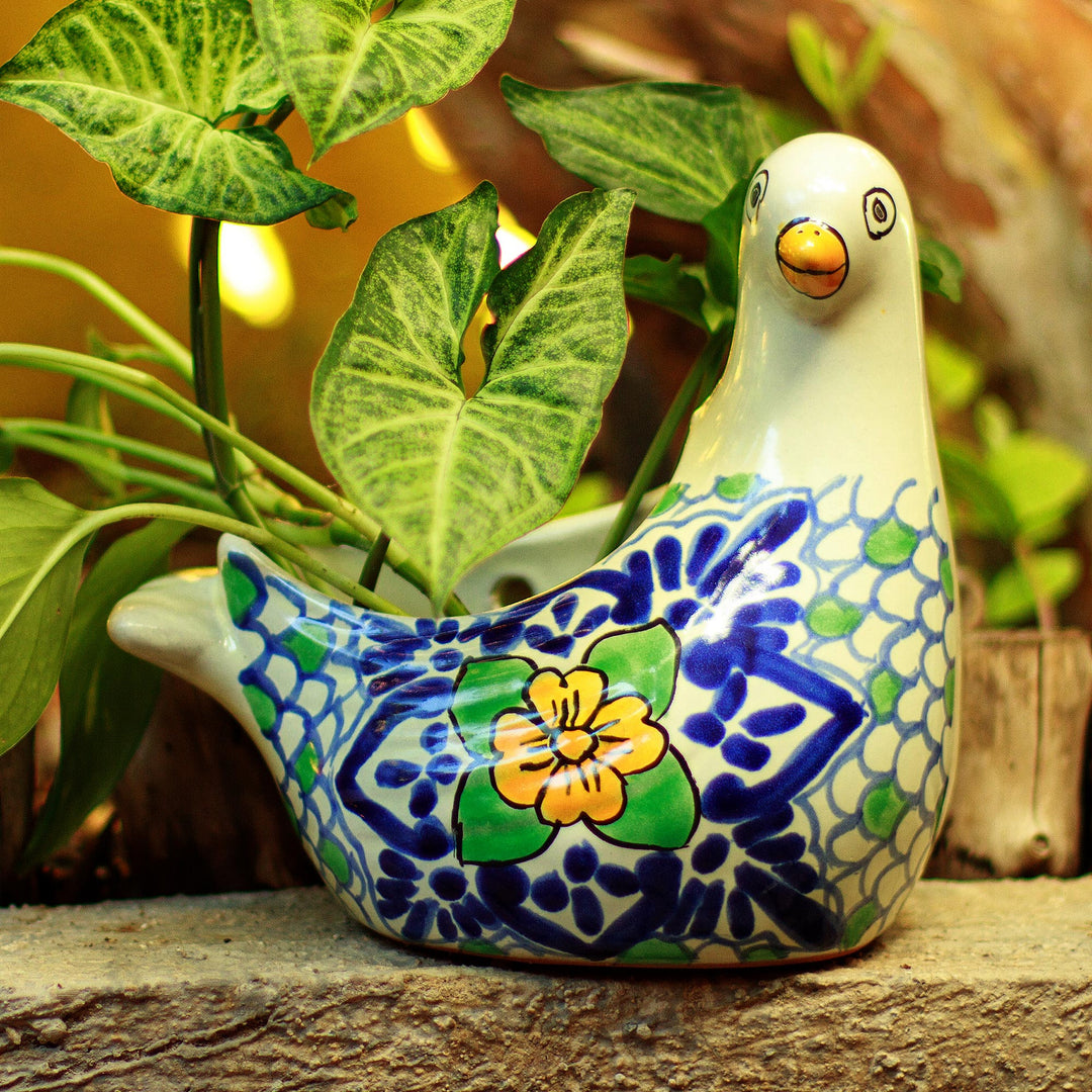 Puebla Dove