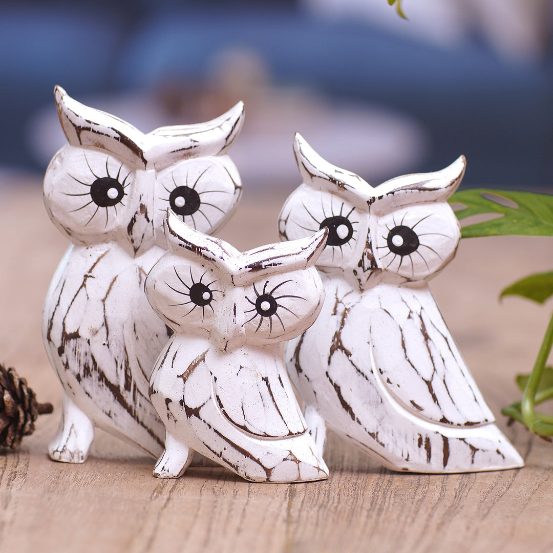 Feathered Guardians
