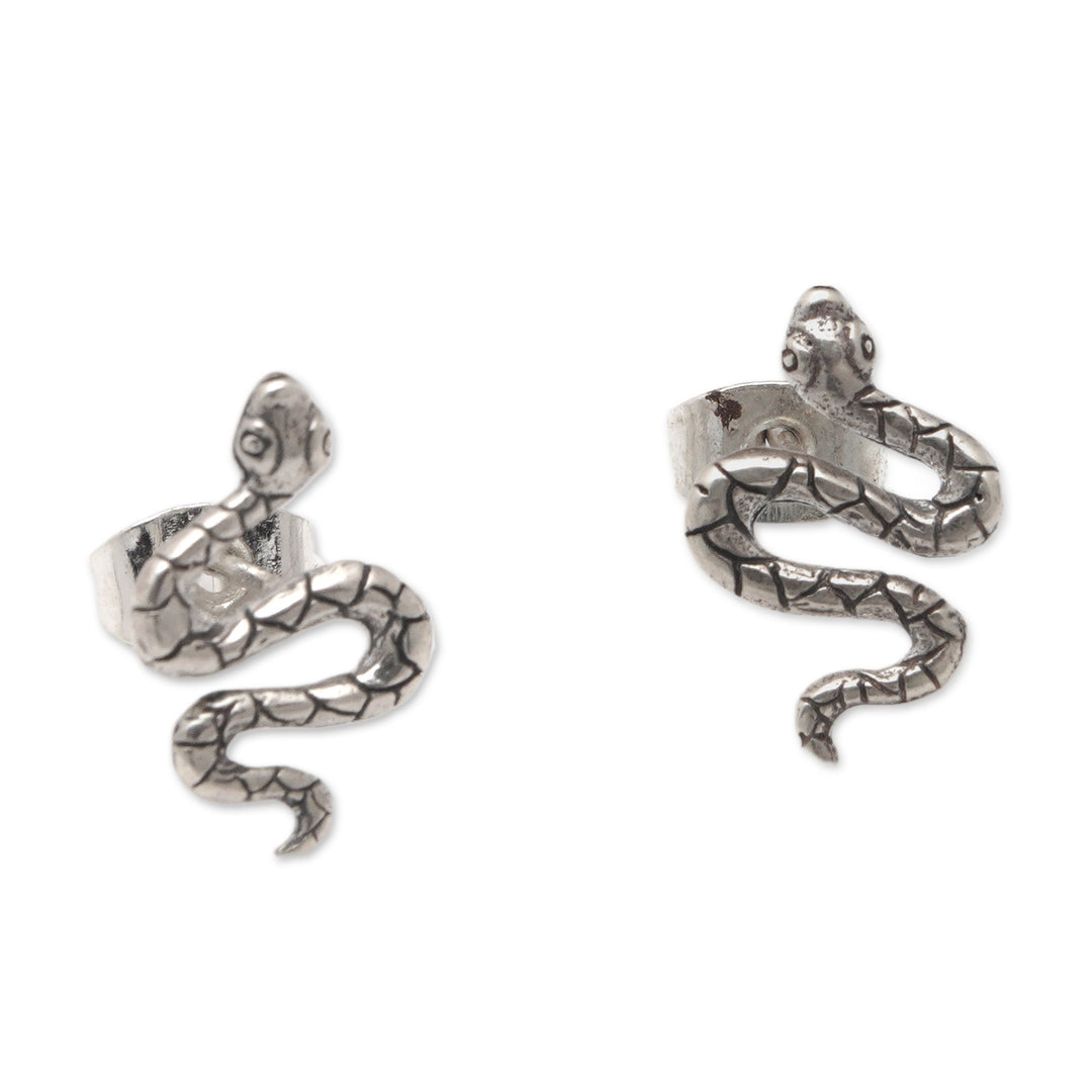 Polished Snake-Shaped Sterling Silver Button Earrings - Snake Prodigy