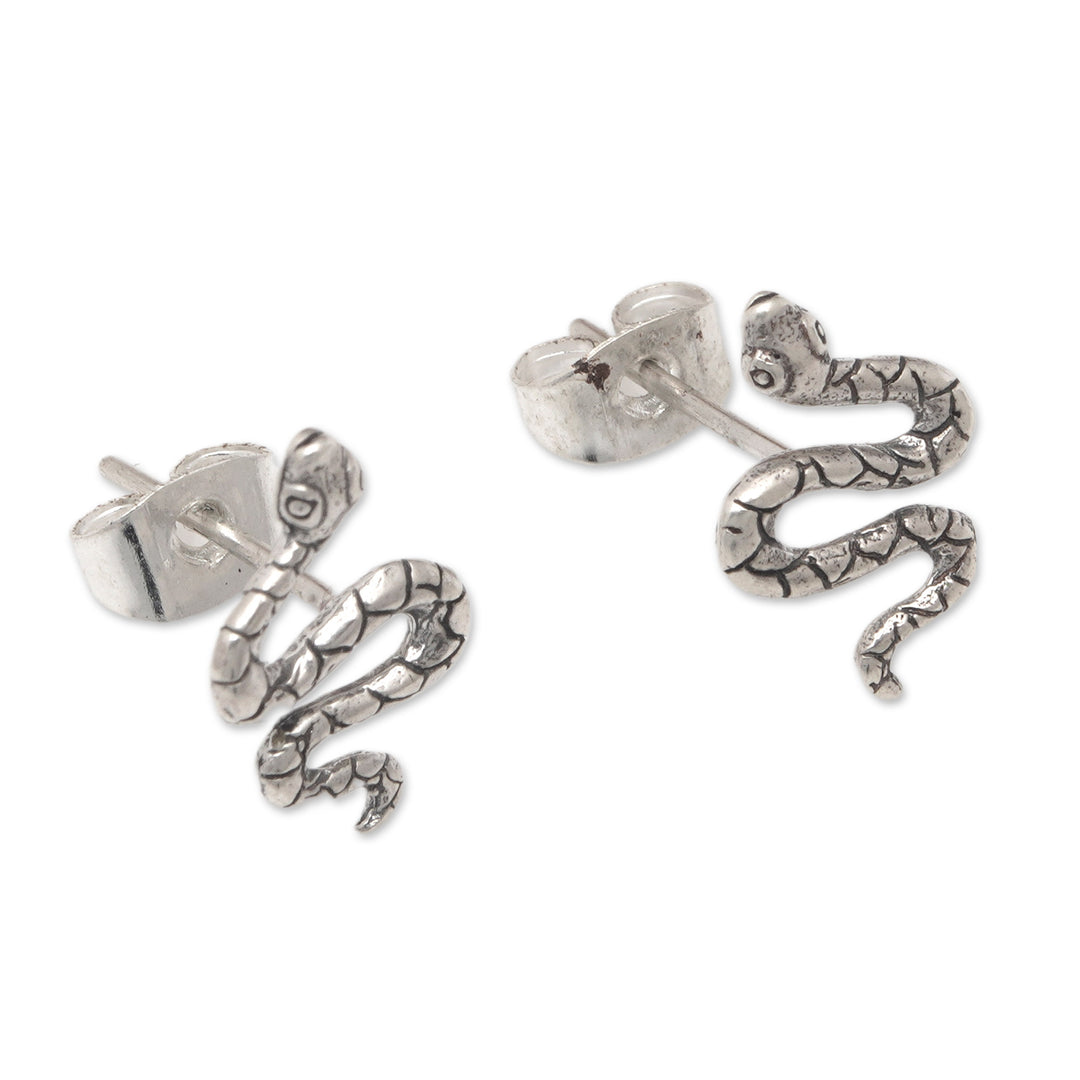 Polished Snake-Shaped Sterling Silver Button Earrings - Snake Prodigy