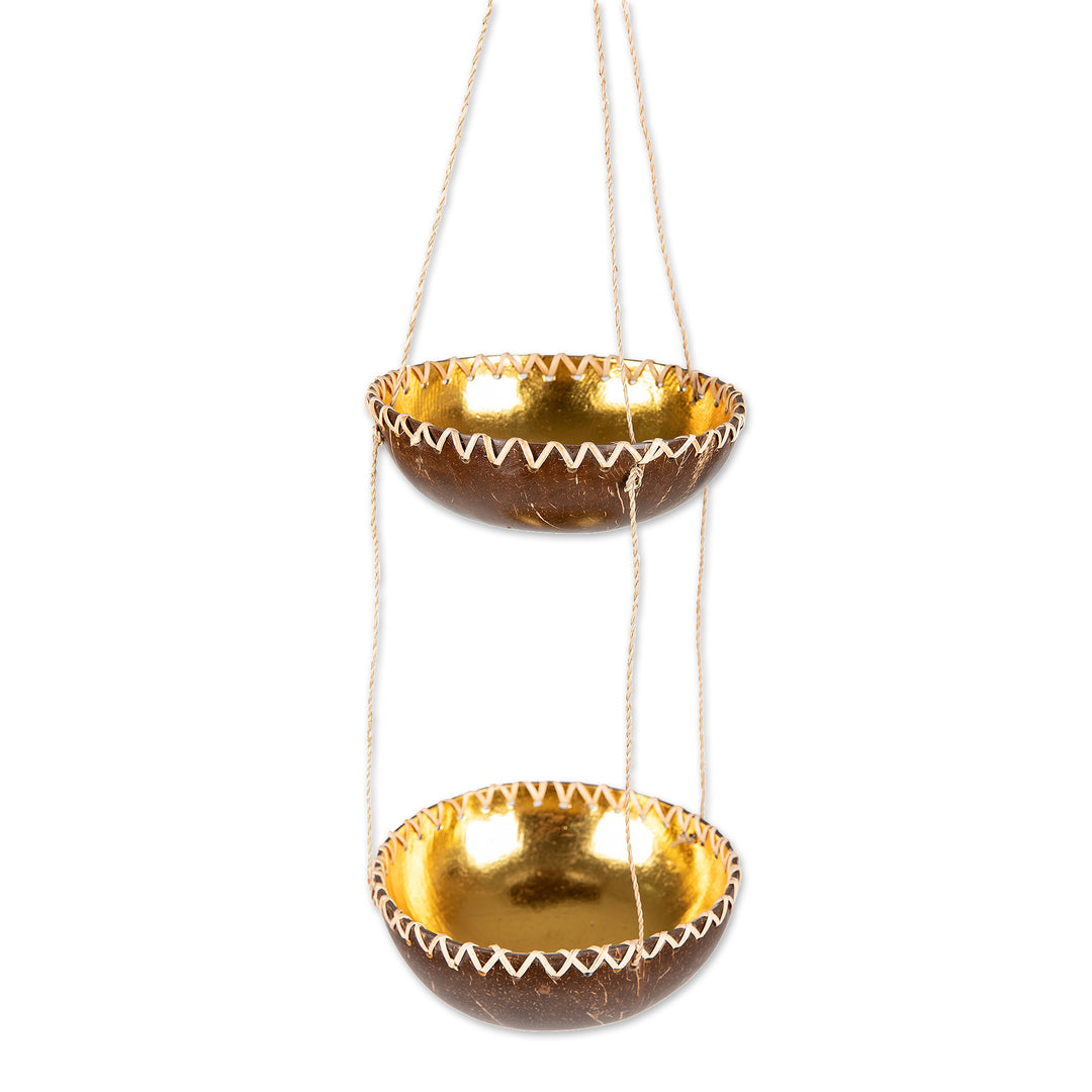 Handcrafted Coconut Shell Hanging Planter in a Dark Hue - Coconut Prosperity