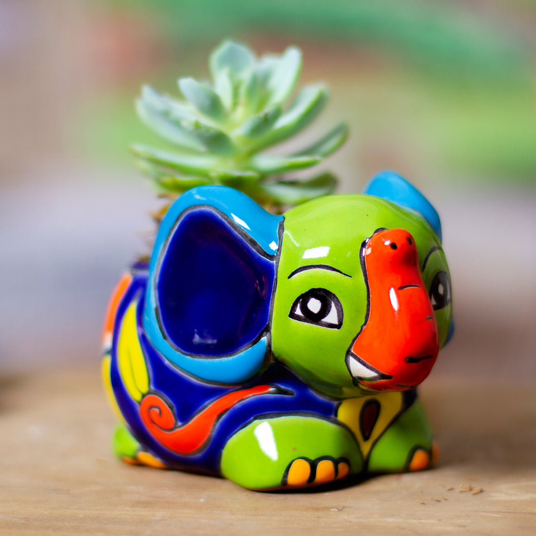 Elephant Customs