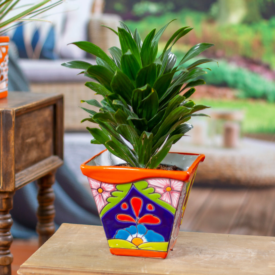 Thriving Orange