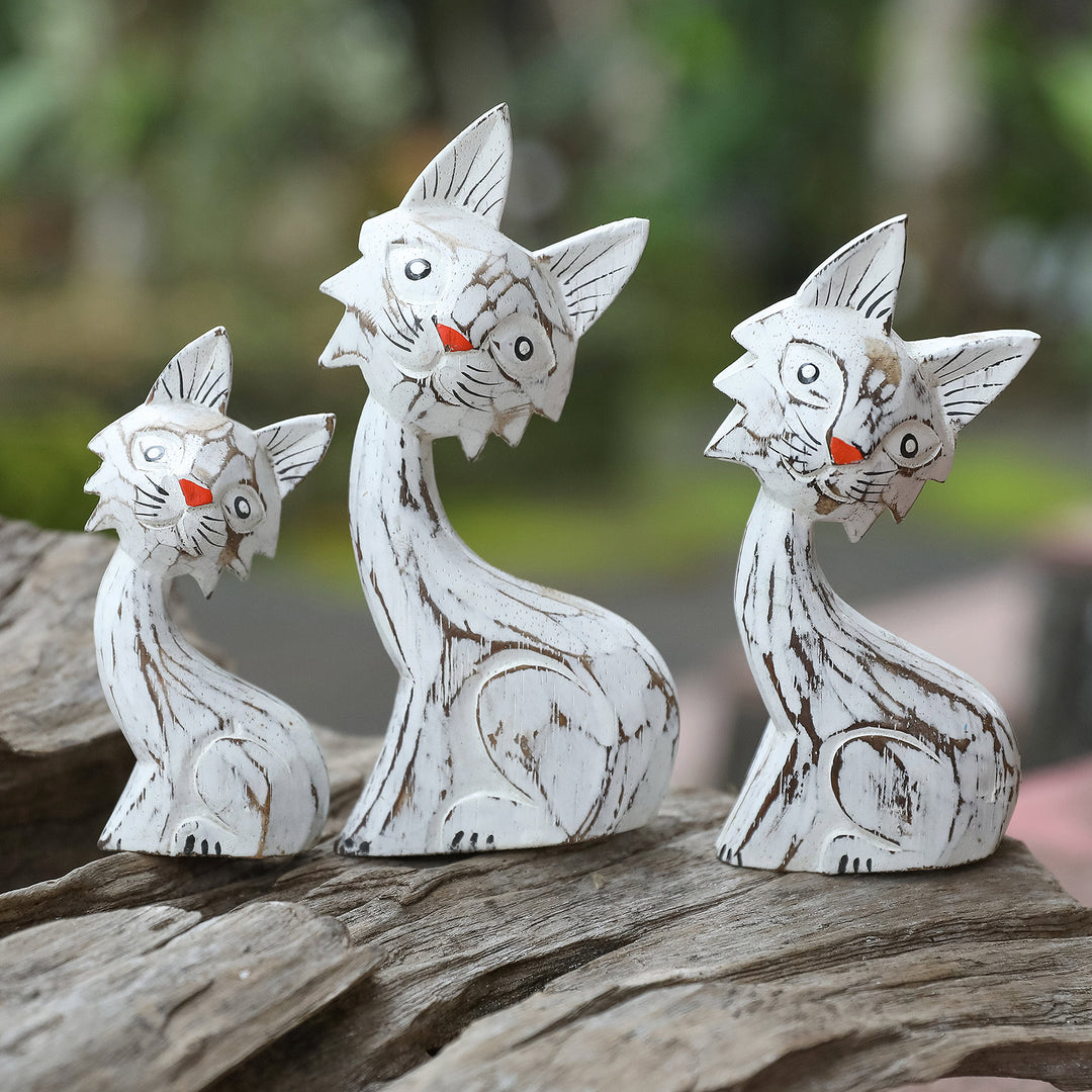 Feline Noses