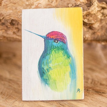 Colorful Hummingbird