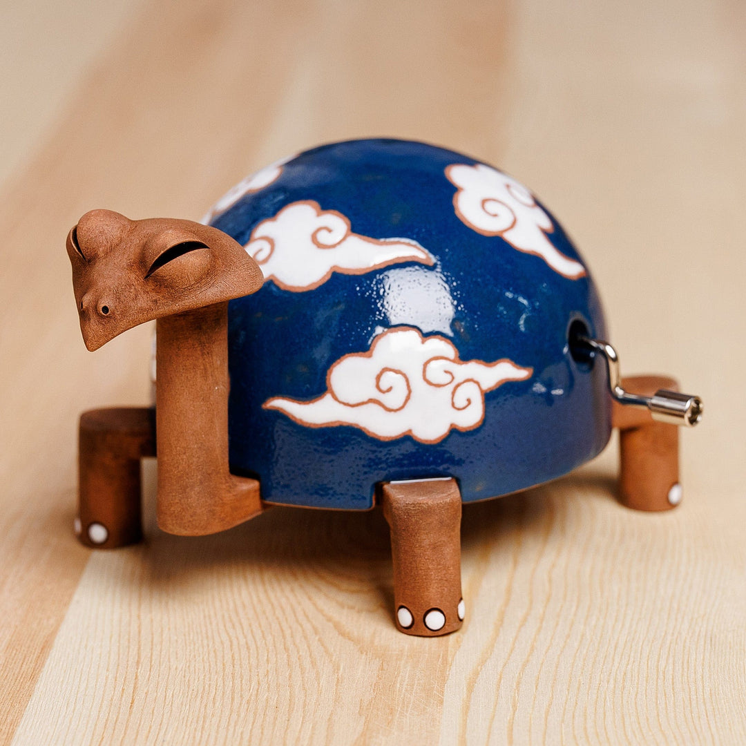 Birthday Turtle