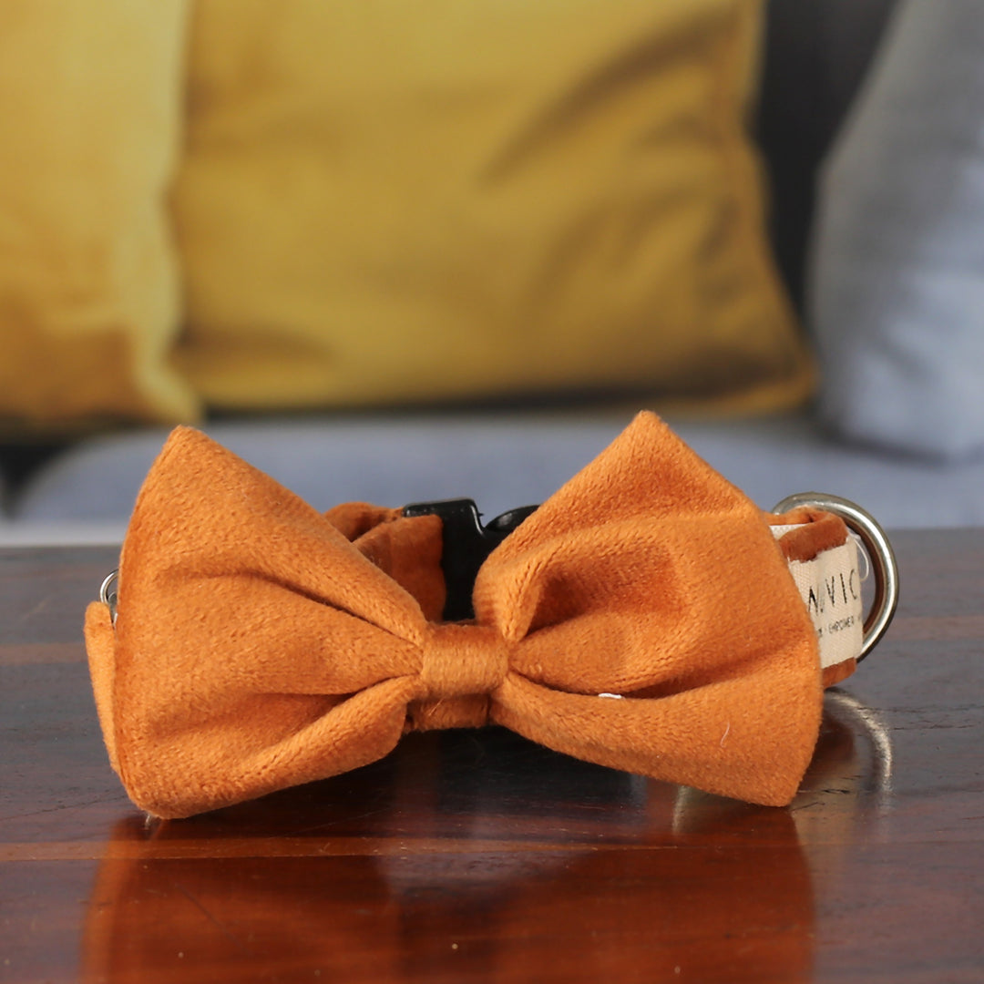 Royal Elegance in Ginger