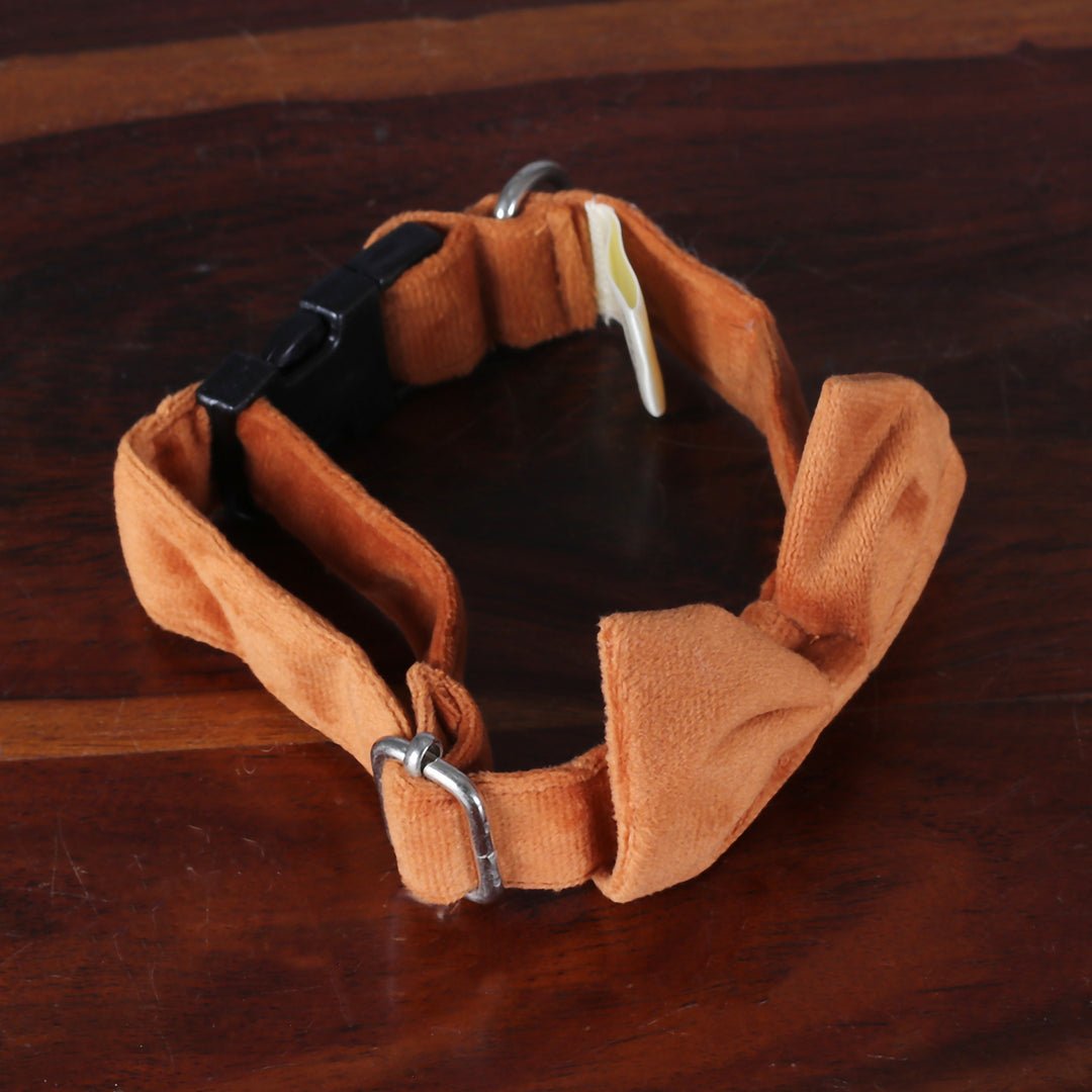 Pet Collar with Bow Tie and Snap Buckle in Orange - Royal Elegance in Ginger