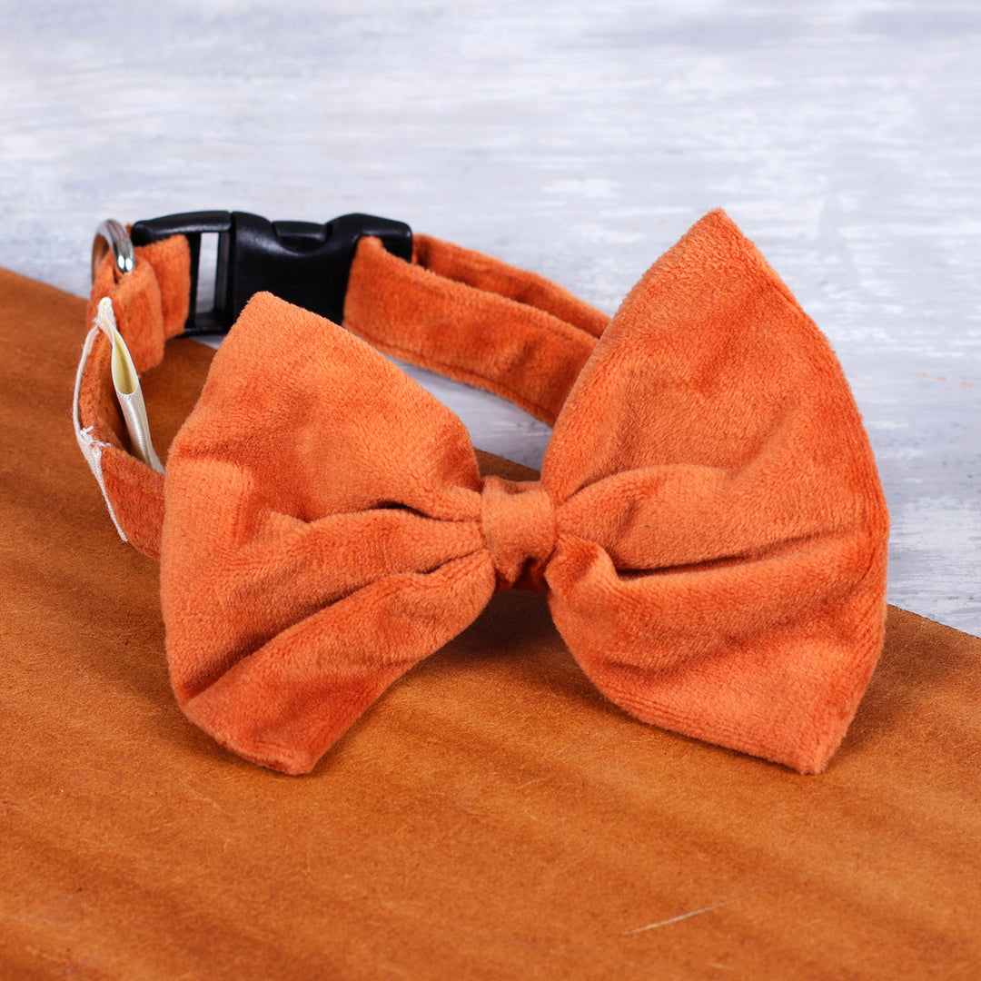 Pet Collar with Bow Tie and Snap Buckle in Orange - Royal Elegance in Ginger
