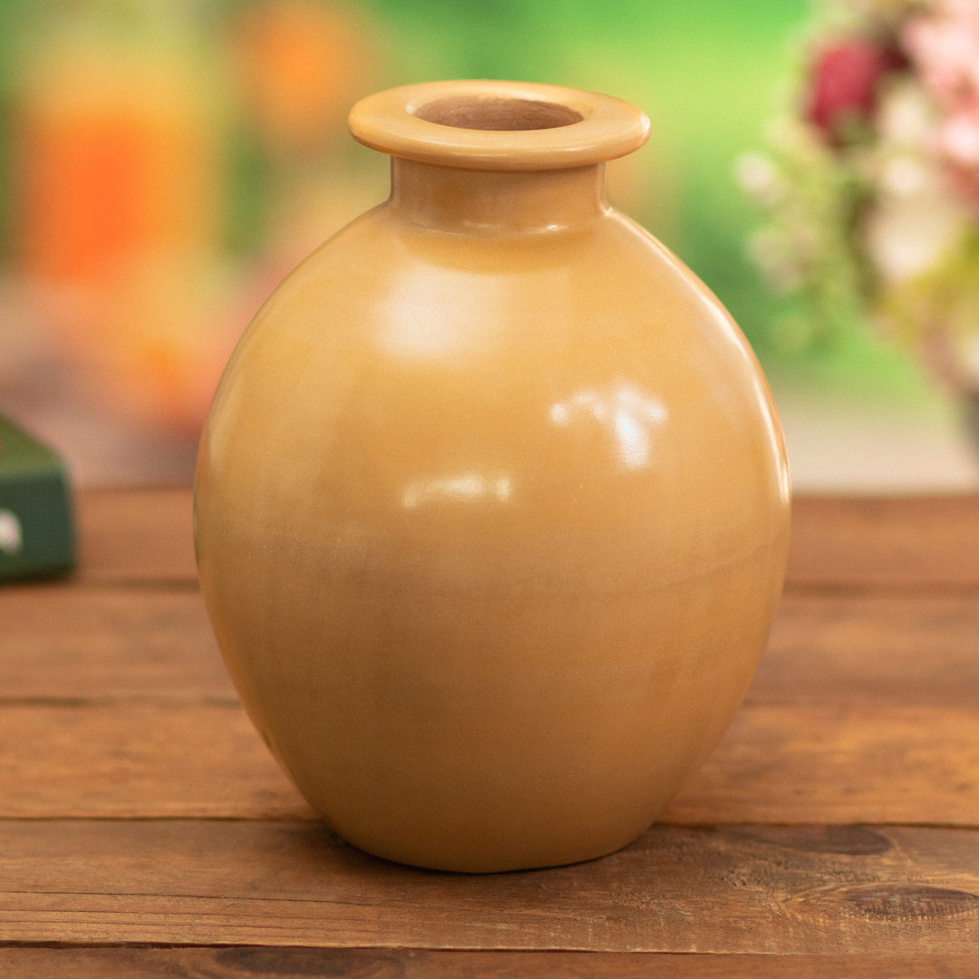 Chulucanas Decorative Vase - Honey Boca Ancha
