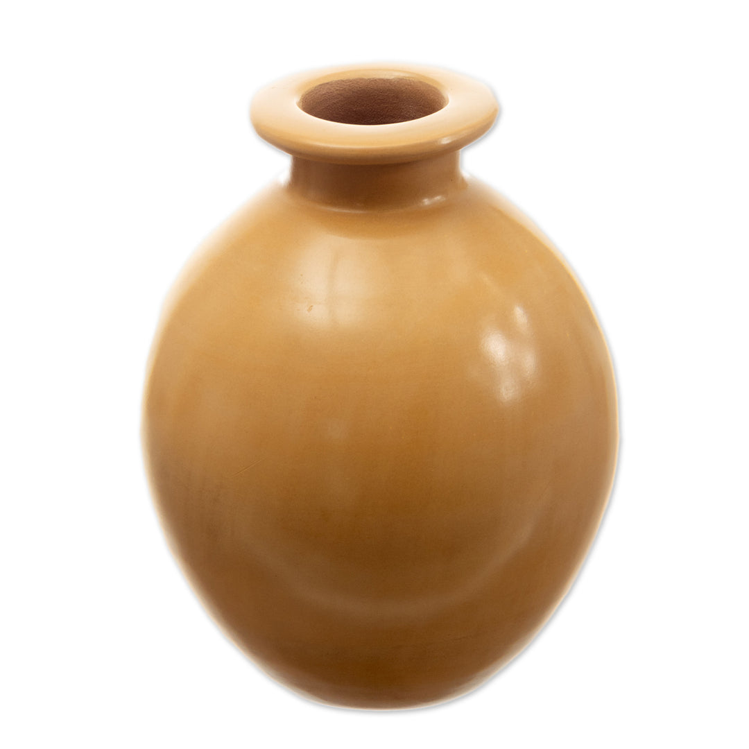 Chulucanas Ceramic Decorative Vase Handmade in Peru - Exquisite Earth