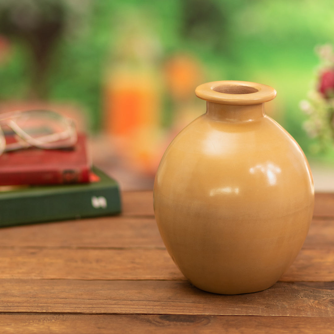 Chulucanas Ceramic Decorative Vase Handmade in Peru - Exquisite Earth
