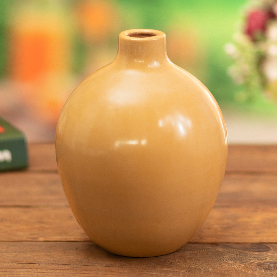 Chulucanas Decorative Vase - Honey