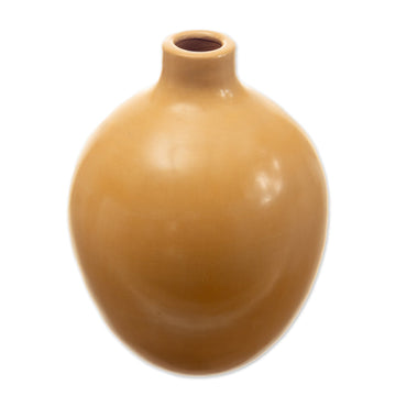 Chulucanas Decorative Vase - Honey