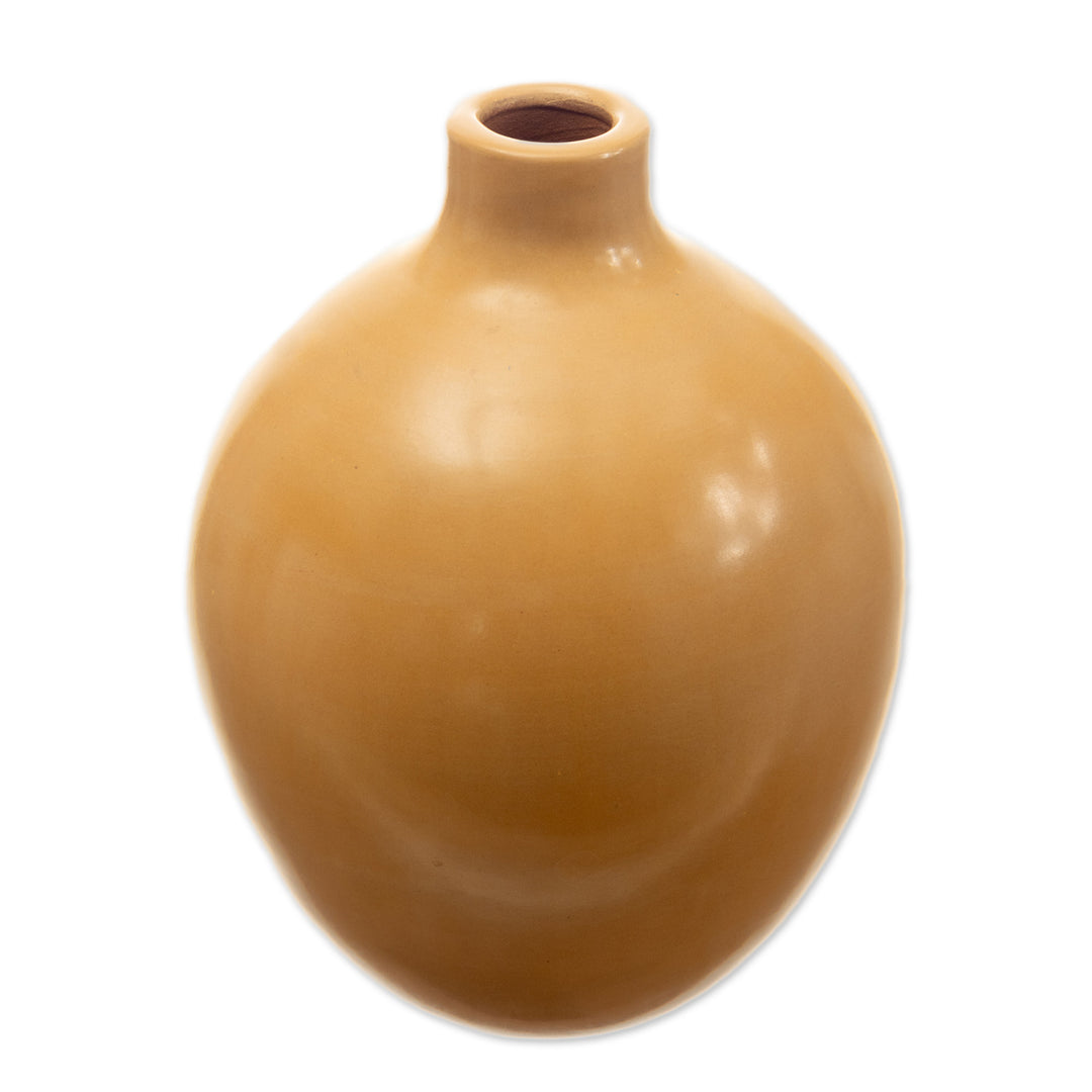 Ceramic Chulucana Style Decorative Vase Handmade in Peru - Divine Sun