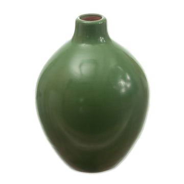 Chulucanas Decorative Vase - Light Green