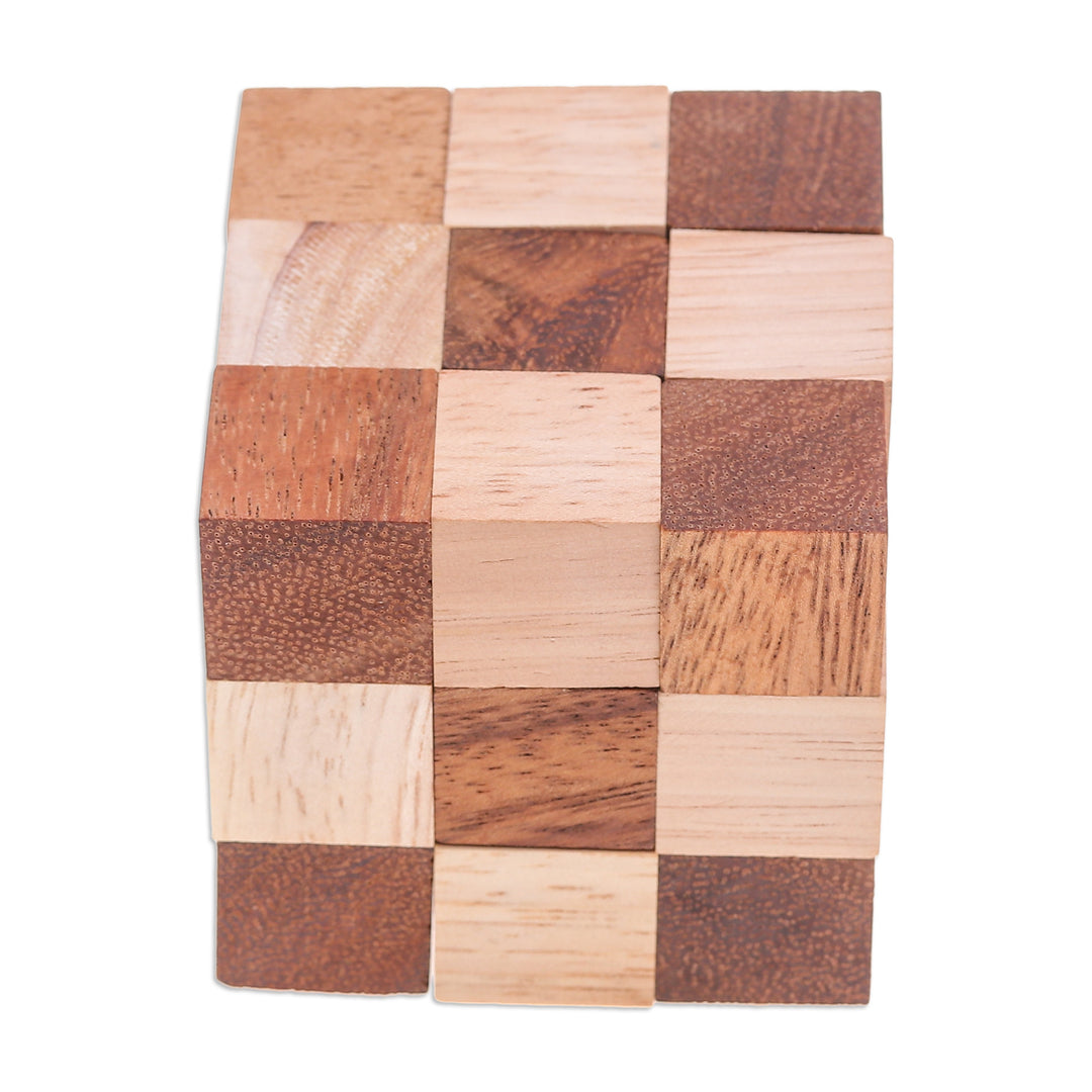 Handcrafted Natural Brown Raintree and Rubberwood Snake Cube - Logic Squares