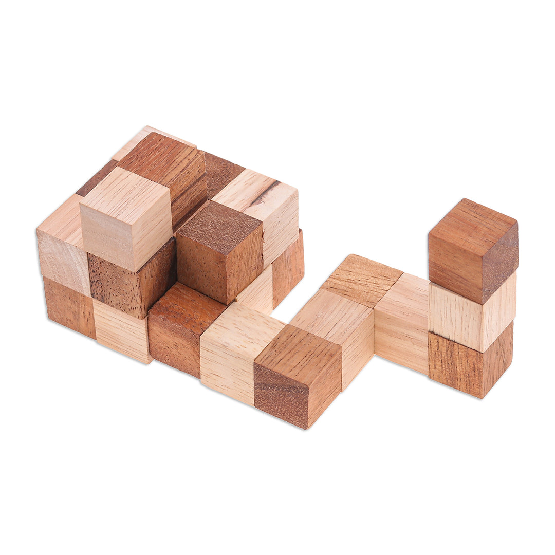 Handcrafted Natural Brown Raintree and Rubberwood Snake Cube - Logic Squares