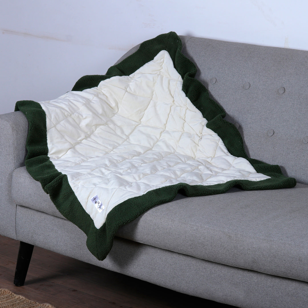 Quilted Pet Blanket with Fluffy Borders in Ivory and Green - Feather Touch