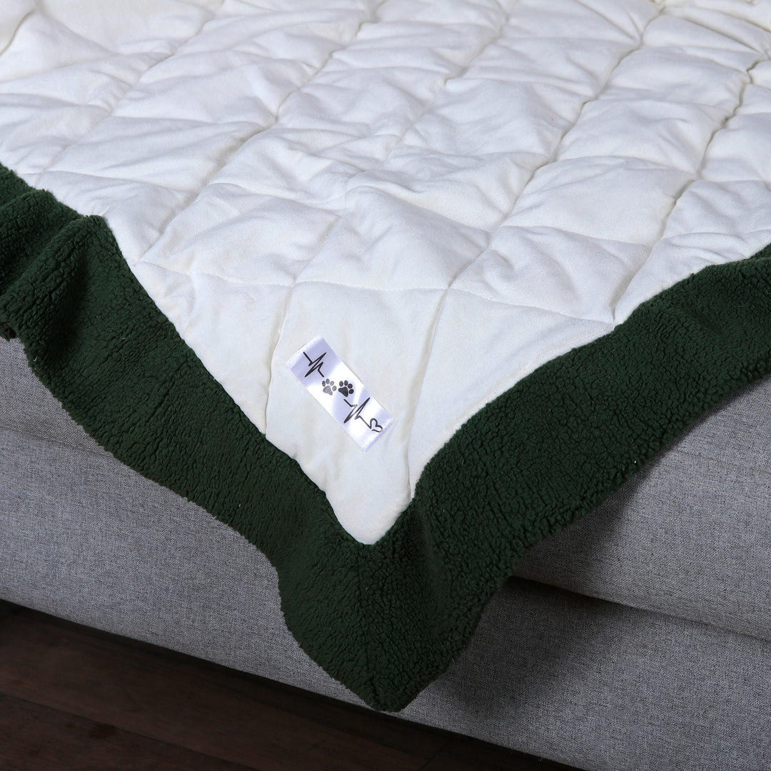 Quilted Pet Blanket with Fluffy Borders in Ivory and Green - Feather Touch
