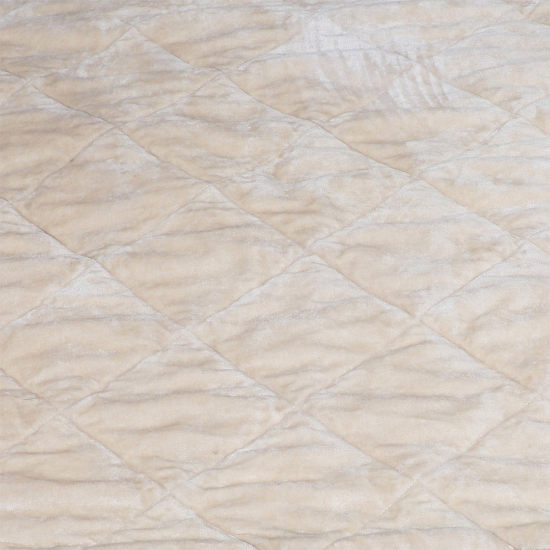 Quilted Pet Blanket with Fluffy Borders in Ivory and Green - Feather Touch